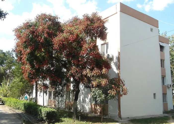 Lägenhet Black Sea *