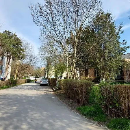 Apartament Black Sea Olimp